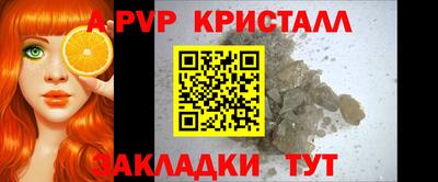 меф Кингисепп