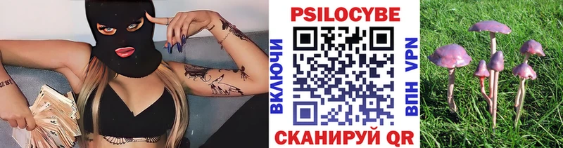 Галлюциногенные грибы Magic Shrooms  где купить наркотик  ссылка на мегу ССЫЛКА  Конаково 