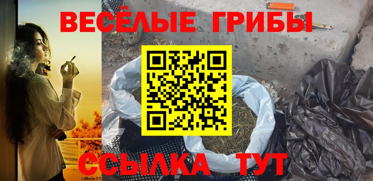 Галлюциногенные грибы Psilocybe Конаково