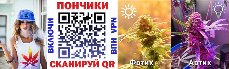 наркота  Конаково  Бошки марихуана индика 